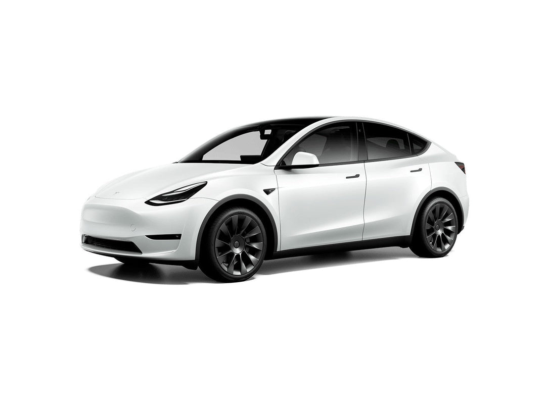 Tesla Model Y 20" Winter Package