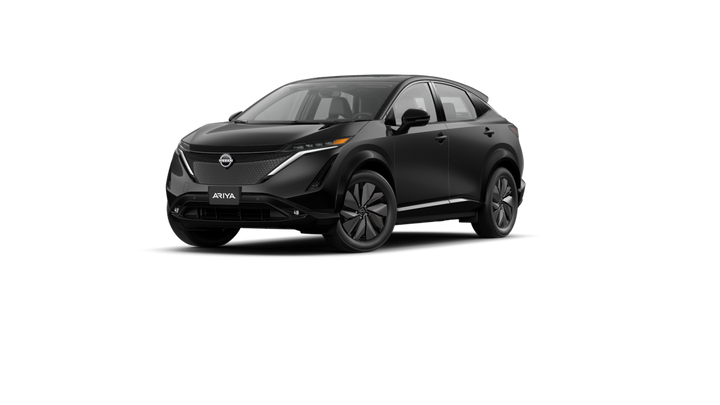 Nissan Ariya Winter Package