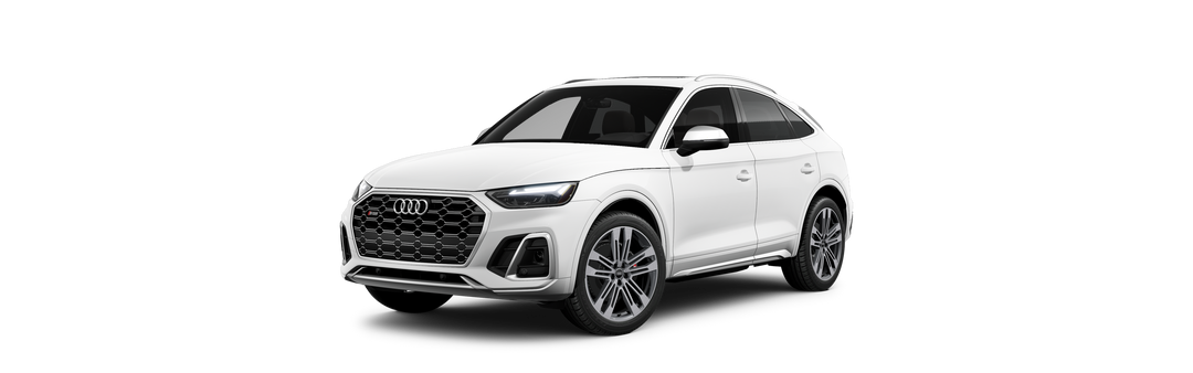 Audi SQ5 Winter Package
