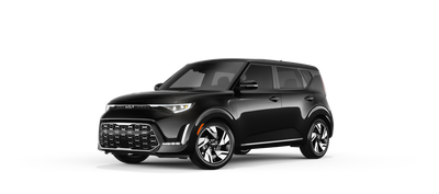 Kia Soul (EV) Winter Package