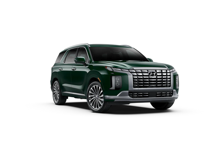 Hyundai Palisade Winter Package